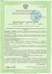 Лицензия г. Наро-Фоминск